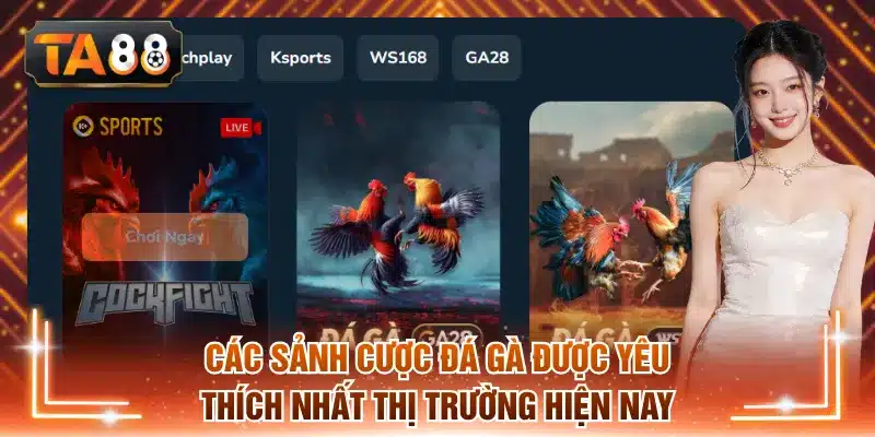 Các sảnh cược đá gà được yêu thích nhất thị trường hiện nay