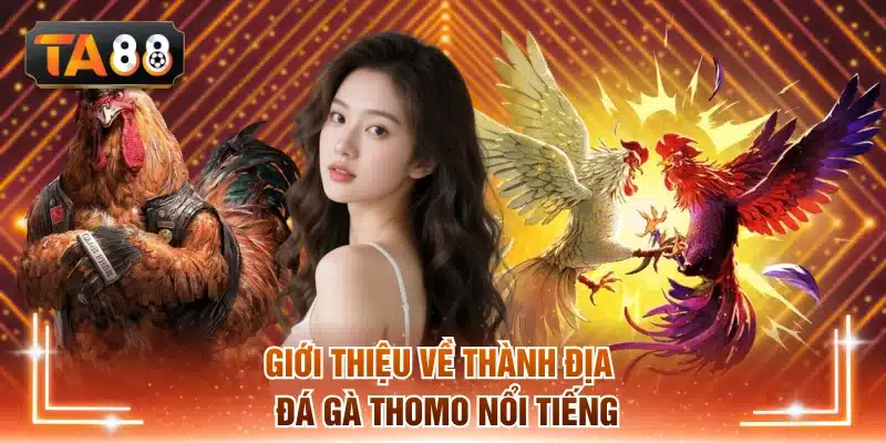 Khám phá tổng quan đá gà Thomo