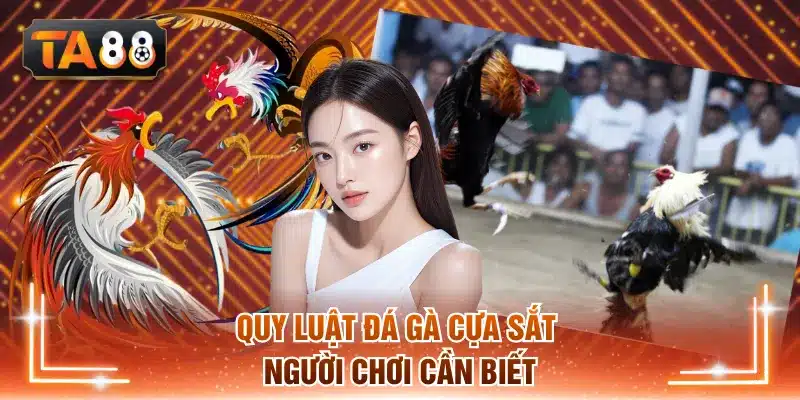 Quy luật đá gà cựa sắt người chơi cần biết
